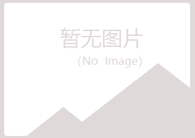 玛沁县初夏化学有限公司